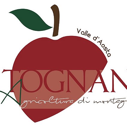 logo_tognan